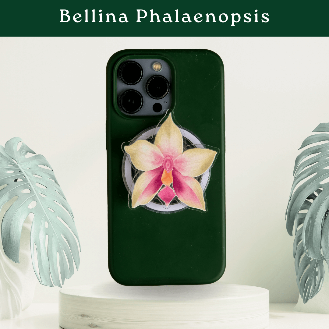 Tropical Pop Sockets