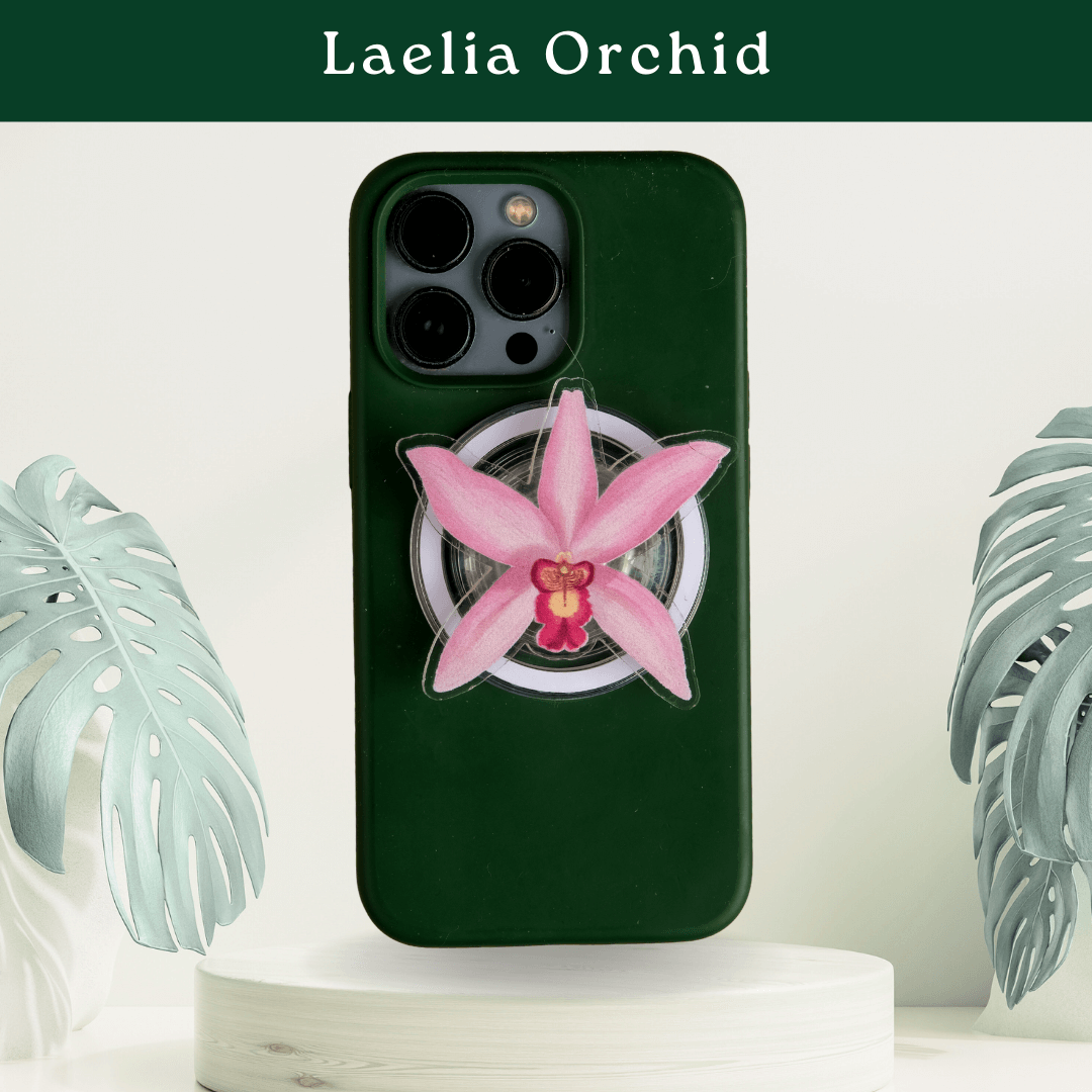 Tropical Pop Sockets