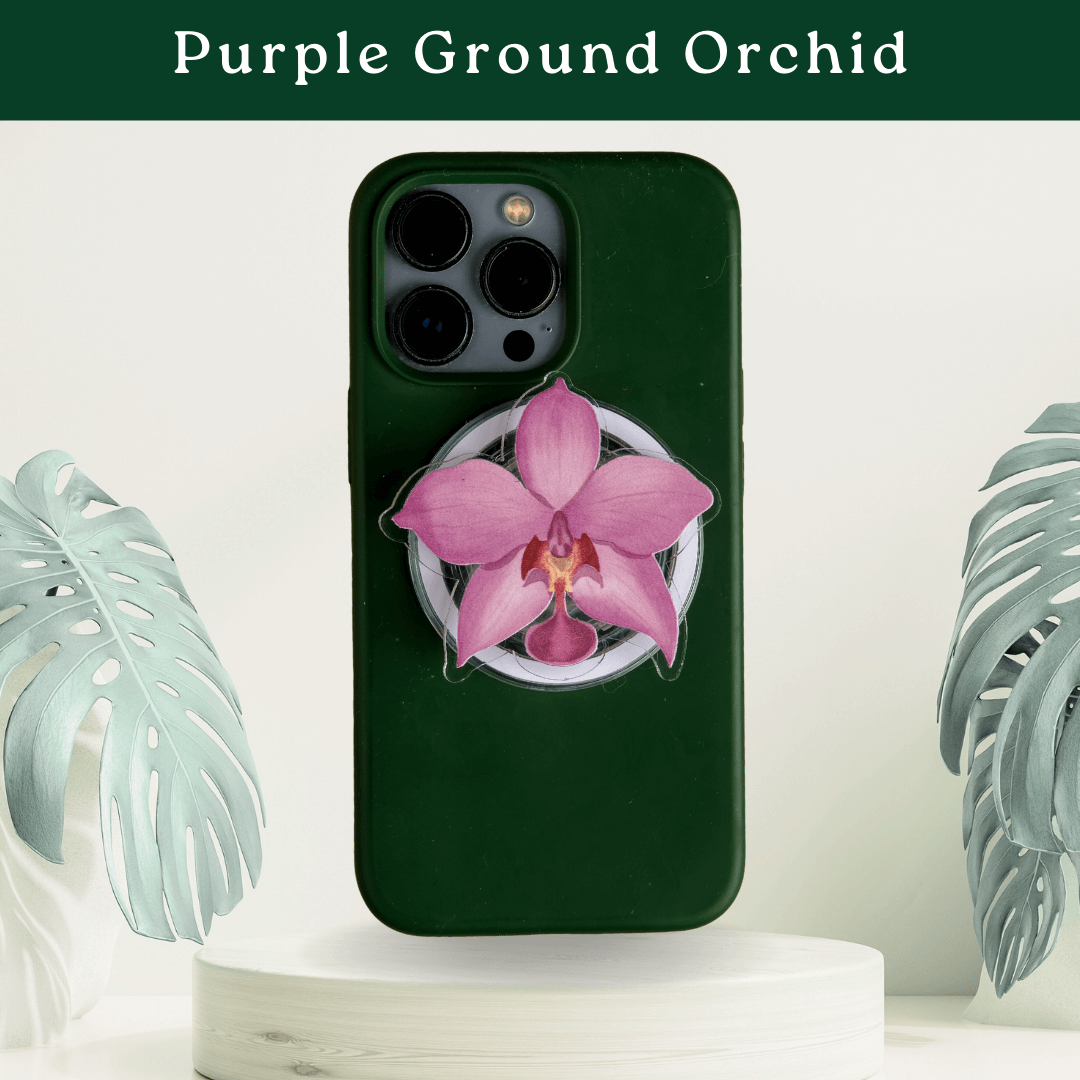 Tropical Pop Sockets