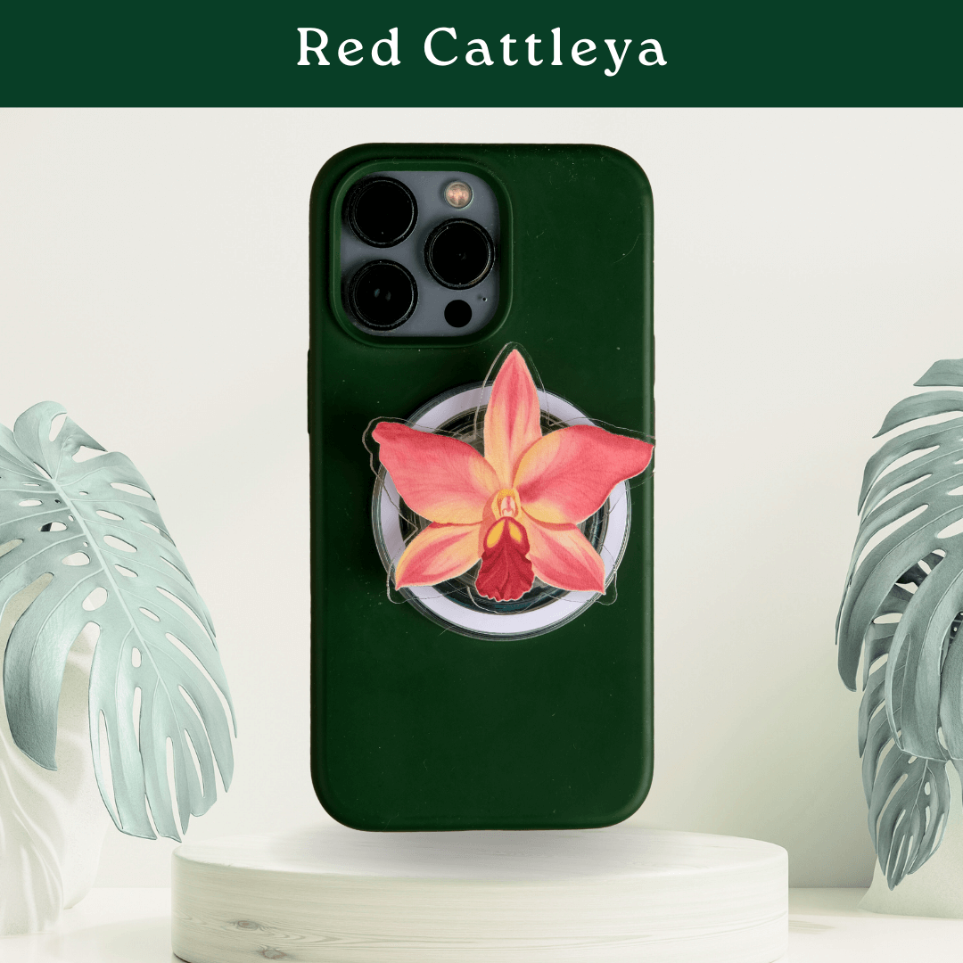 Tropical Pop Sockets