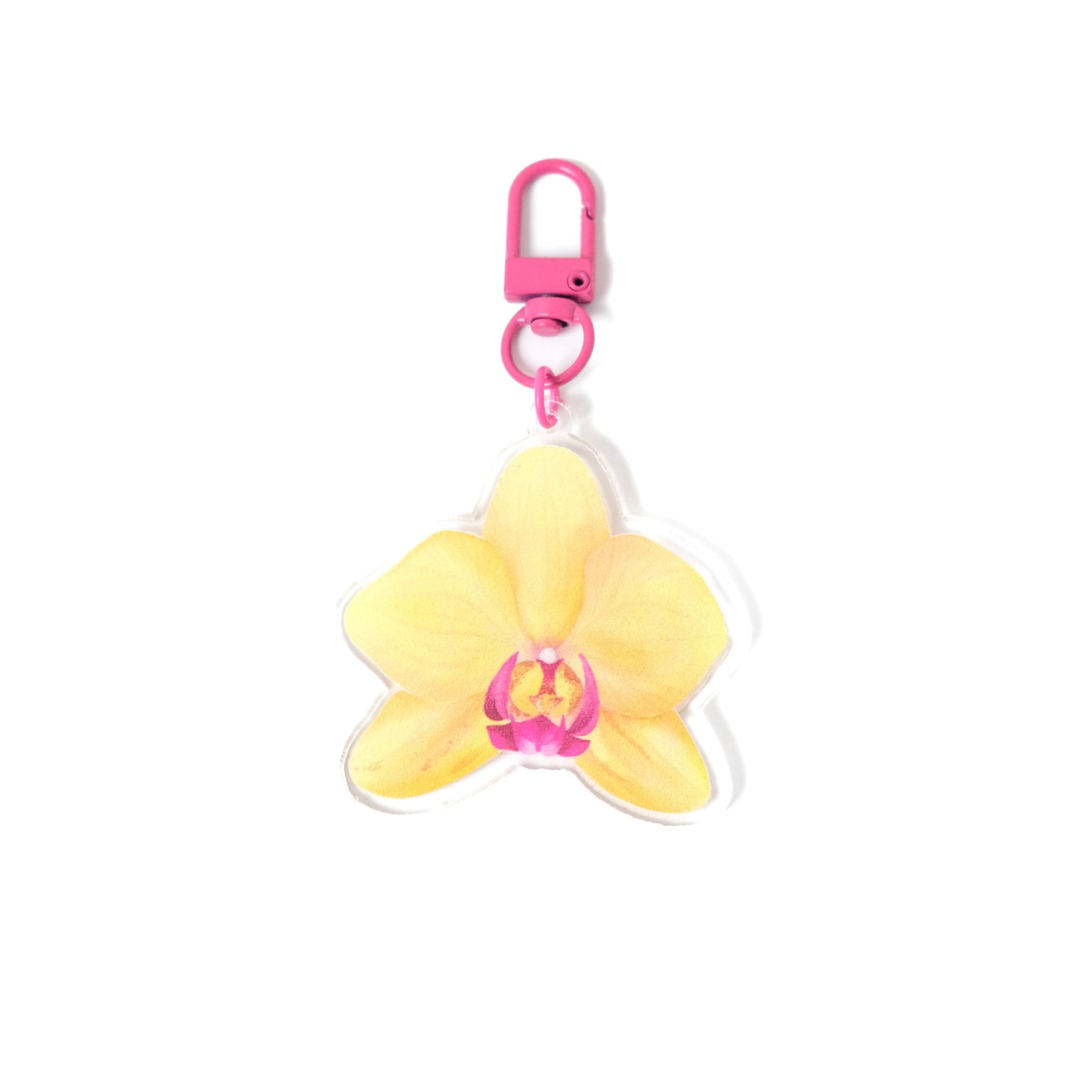 Tropical Keychains