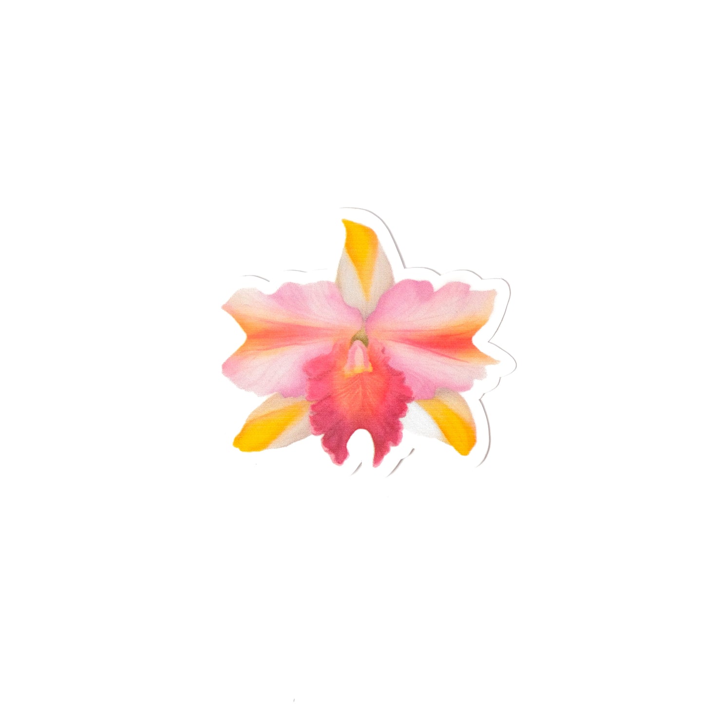 Tropical Sticker Pack