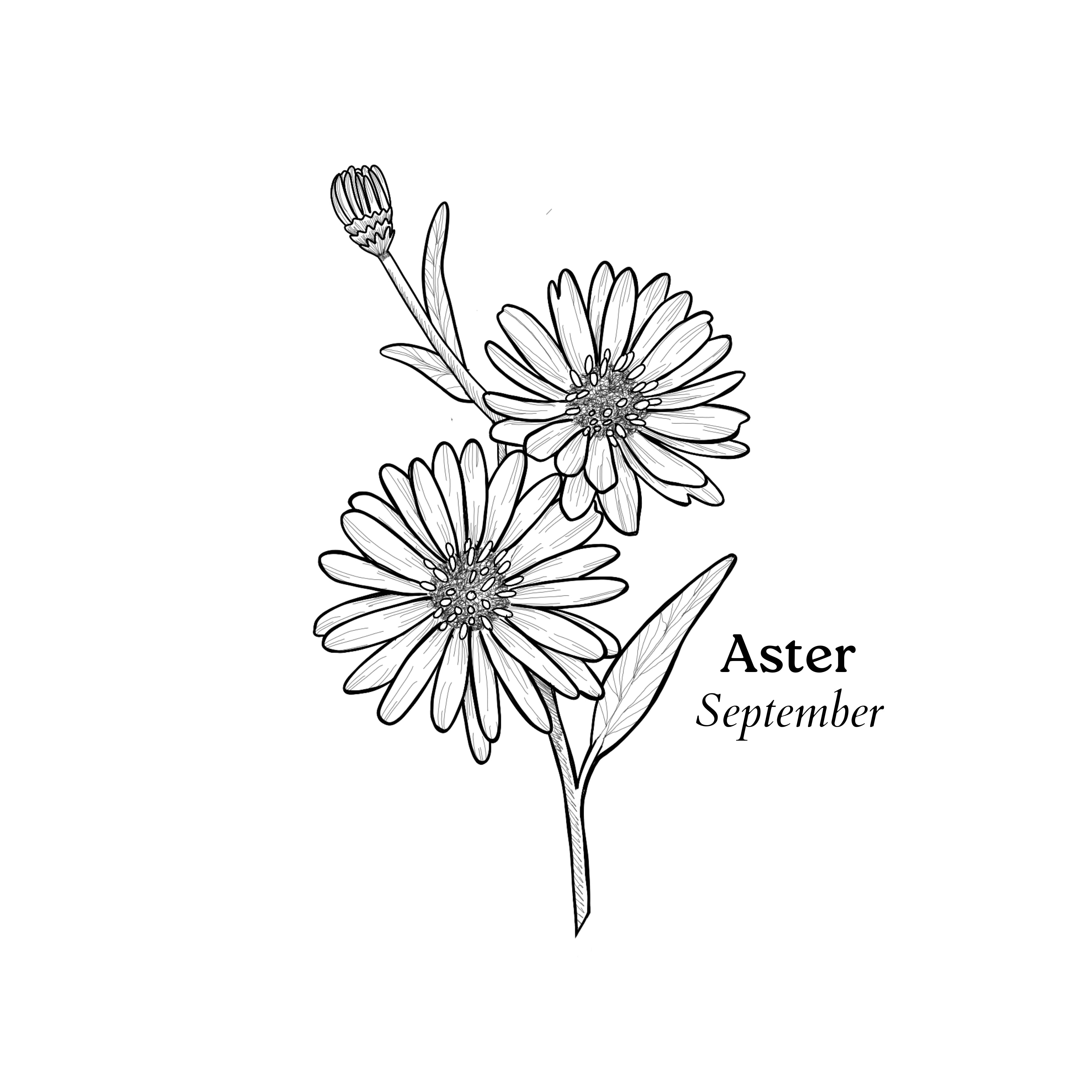 Temporary Tattoos - Image 4