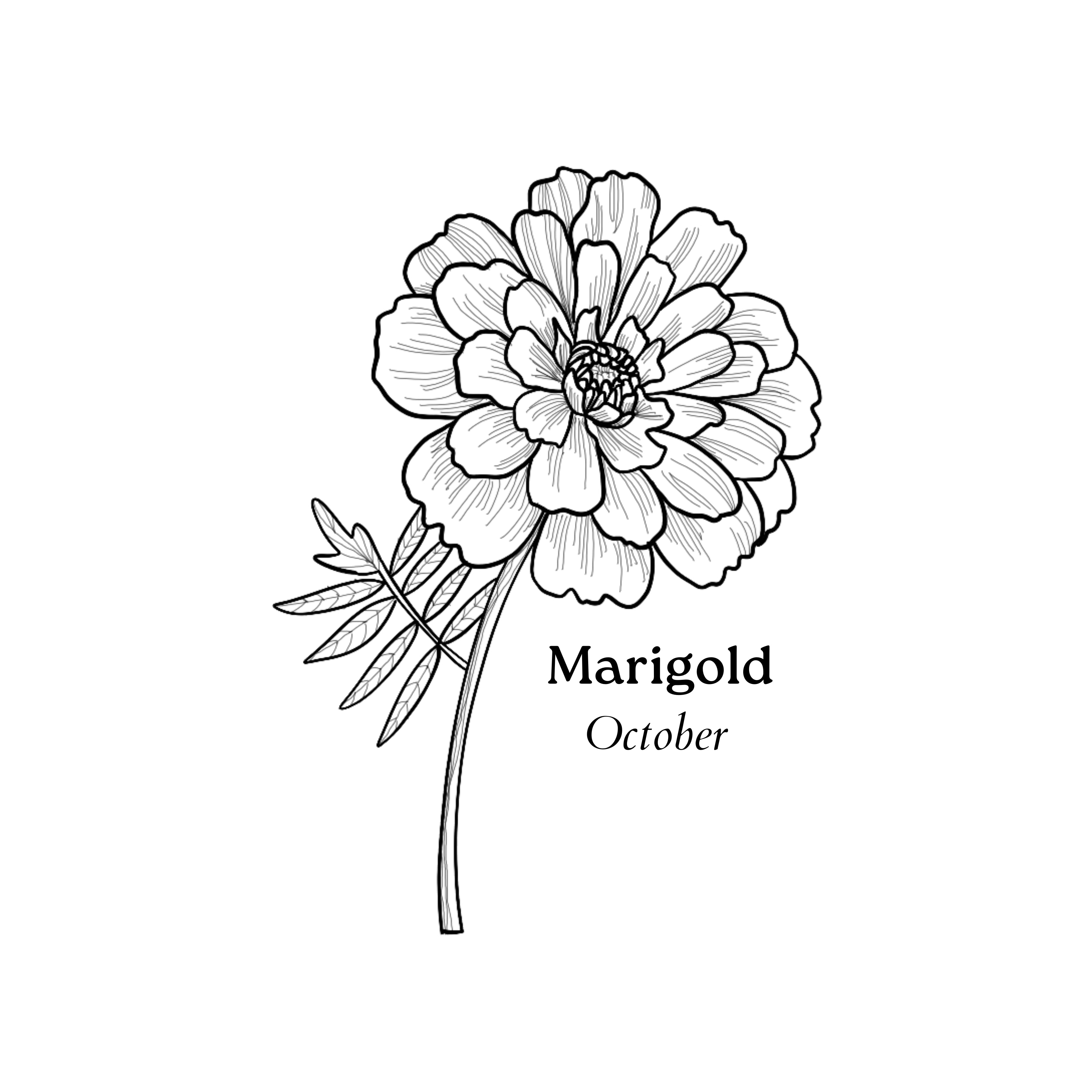 Temporary Tattoos - Image 5